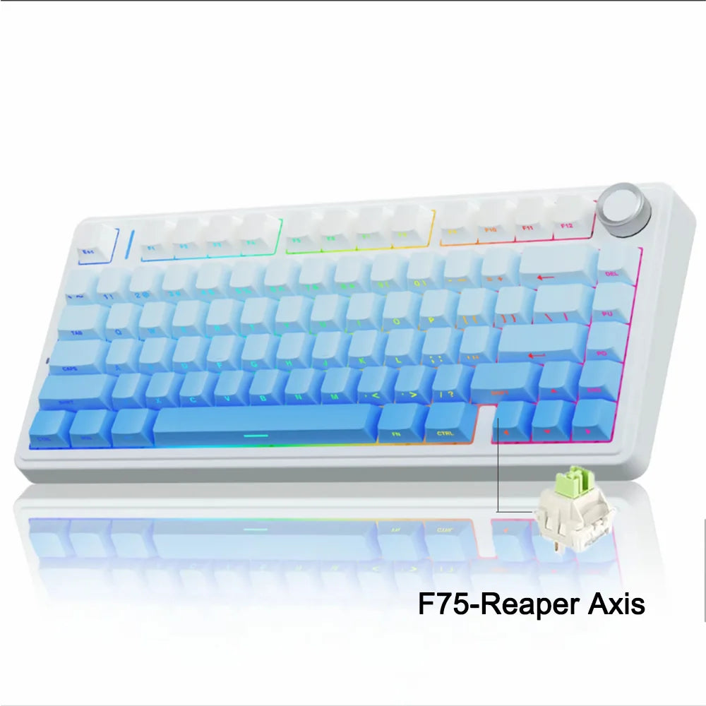 Aula f75 2,4g drahtlose/Bluetooth/kabel gebundene Gaming mechanische Tastatur RGB angepasst Layout OEM Profil Dichtung struktur