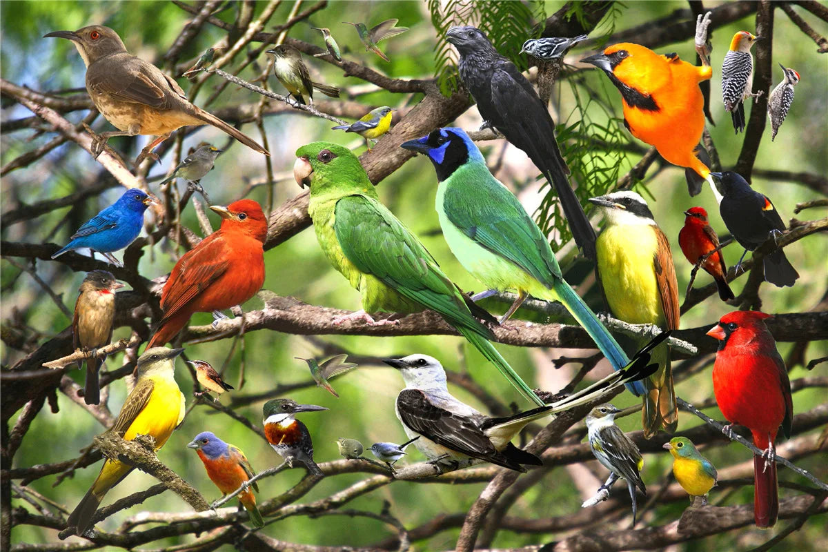 500-teiliges Puzzle mit verschiedenen Landschaftsmustern, Lernspielzeug für Kinder, Kinderspiele, Weihnachtsgeschenk