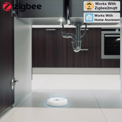 Home Assistant Exclusive | Zigbee Wassertauchsensor (0,01m Präzision) | Leckage Detector
