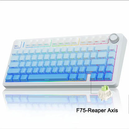 Aula f75 2,4g drahtlose/Bluetooth/kabel gebundene Gaming mechanische Tastatur RGB angepasst Layout OEM Profil Dichtung struktur