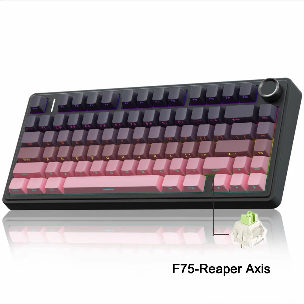 Aula f75 2,4g drahtlose/Bluetooth/kabel gebundene Gaming mechanische Tastatur RGB angepasst Layout OEM Profil Dichtung struktur